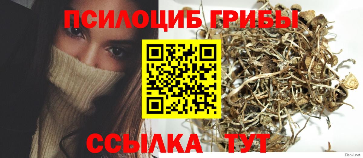 Избербаш  Псилоцибиновые грибы мицелий  Вход с VPN 